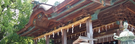 和歌山市で瓦屋根の葺き替えや雨漏りの修繕なら岸武瓦店へ。多くの人により瓦に興味を持ってもらえるように甍会(研修会)も実施中!